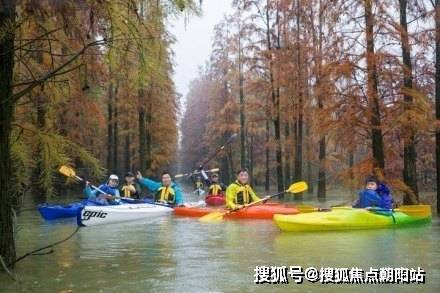 青山湖玫瑰园2024售楼处青山湖玫瑰园24小时热线电话(图7)