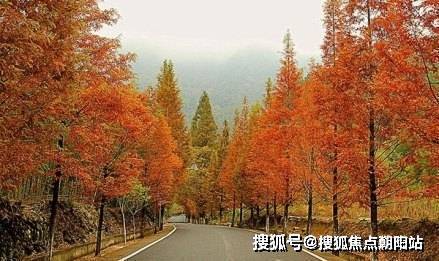 青山湖玫瑰园2024售楼处青山湖玫瑰园24小时热线电话(图6)