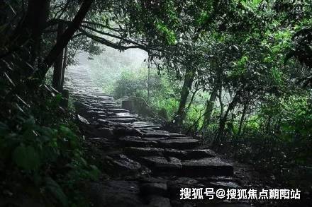 青山湖玫瑰园2024售楼处青山湖玫瑰园24小时热线电话(图5)