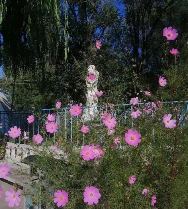 肾病带来的不只有透析还有抑郁和恐惧而97年的她是这样应对的｜肾友日记(图3)