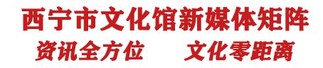 预约报名·形象穿衣与色彩搭配2024年西宁市文化馆全民艺术普及第四期公益特色培训班(图2)